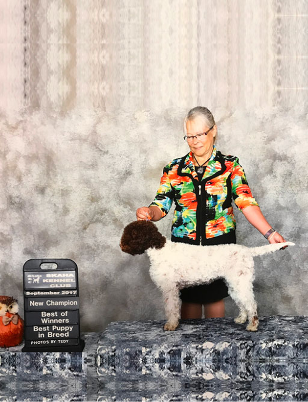 Lady with Dog