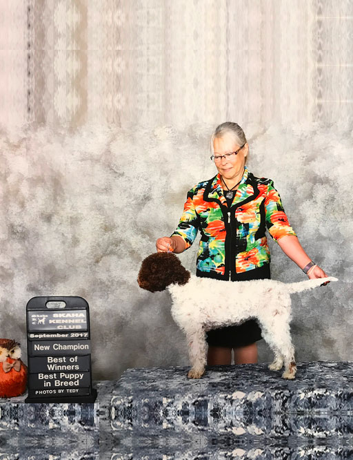 Lady with Dog